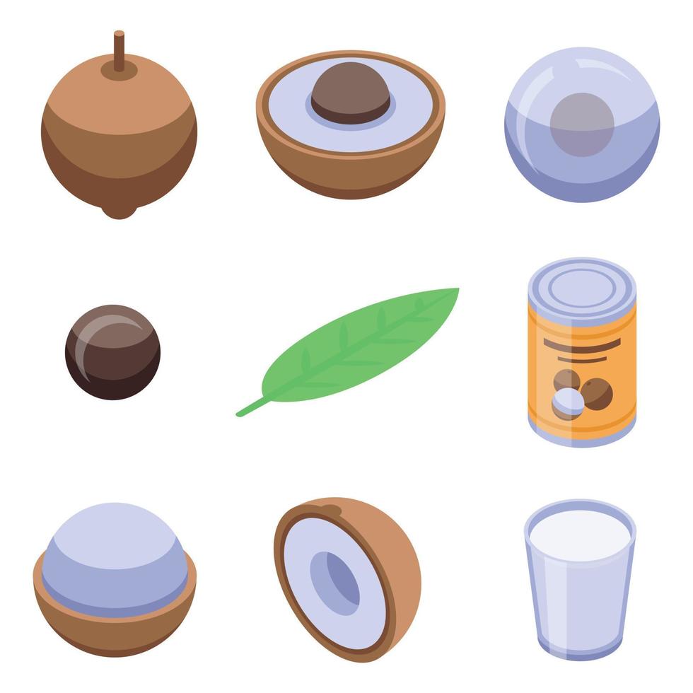 conjunto de iconos longan, estilo isométrico vector