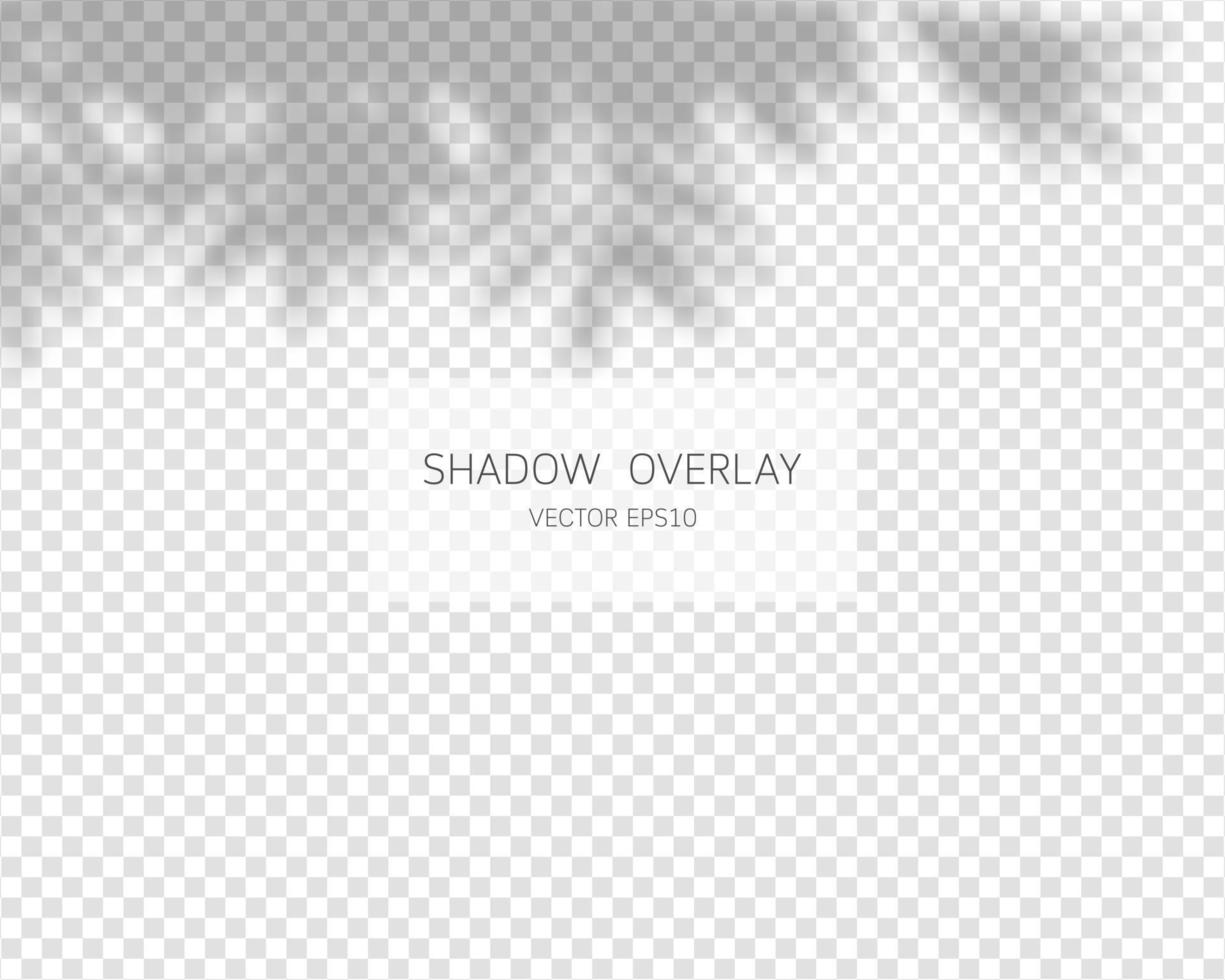 Shadow overlay effect. Natural shadows isolated on transparent background. Vector illustration.