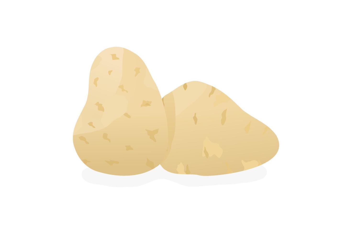 Two Potato Vector Isolated Illustration Food Vegetable