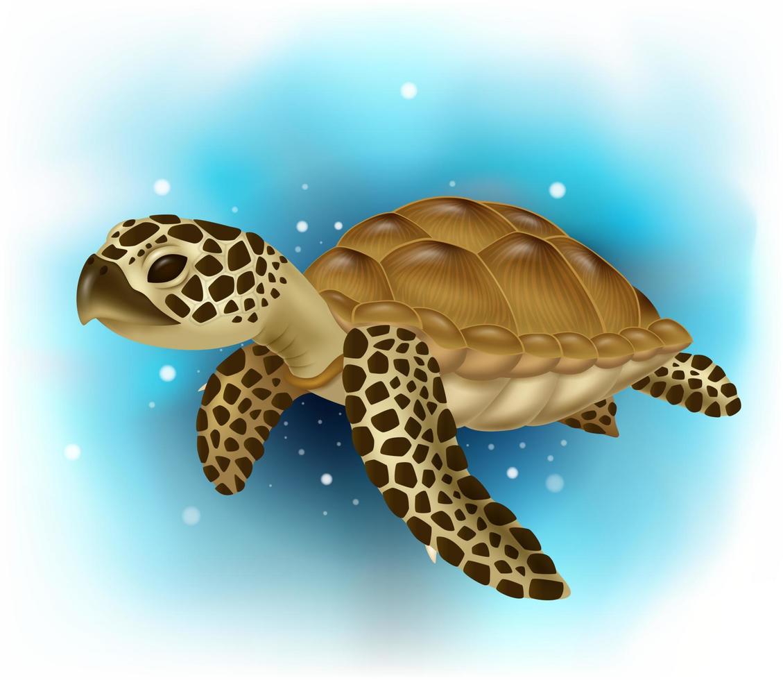 Cartoon sea turtle swimming in the ocean vector