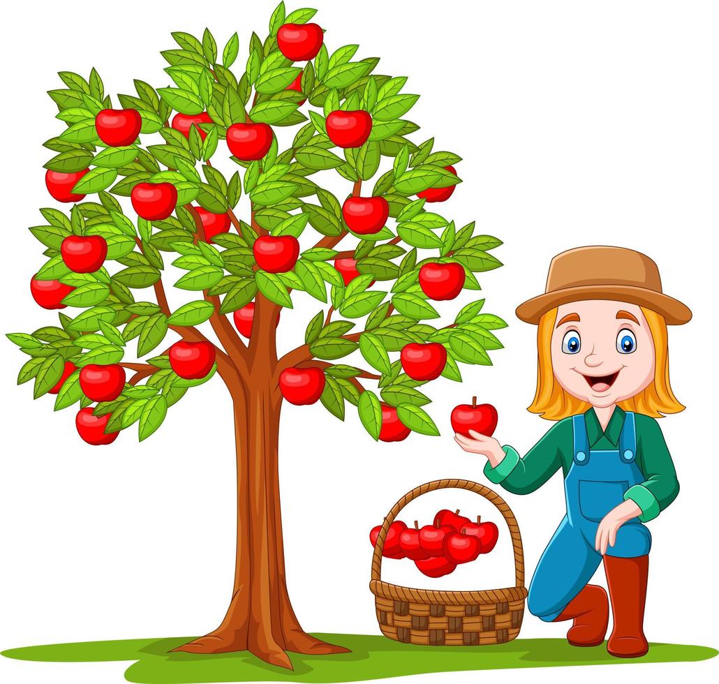 Female farmer gathering apples in basket vector