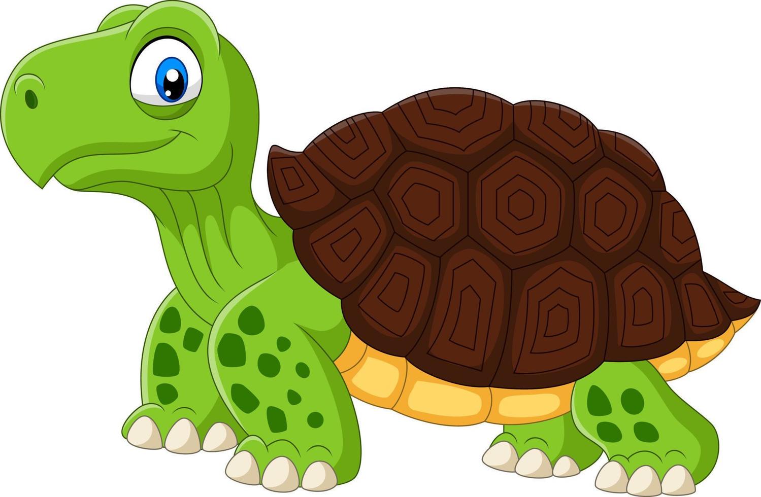 Cartoon funny turtle isolated on white background vector