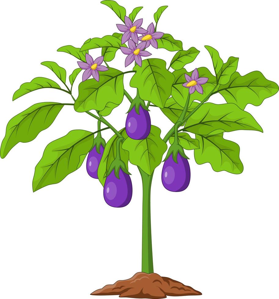 Cartoon Eggplants isolated on white background vector