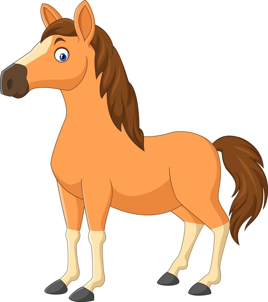 Cartoon brown horse isolated on white background vector