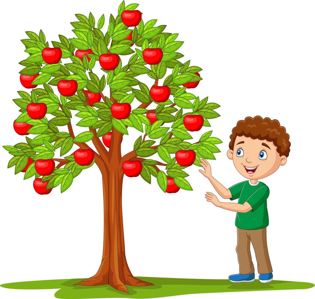 Cartoon boy picking apples from apple tree vector