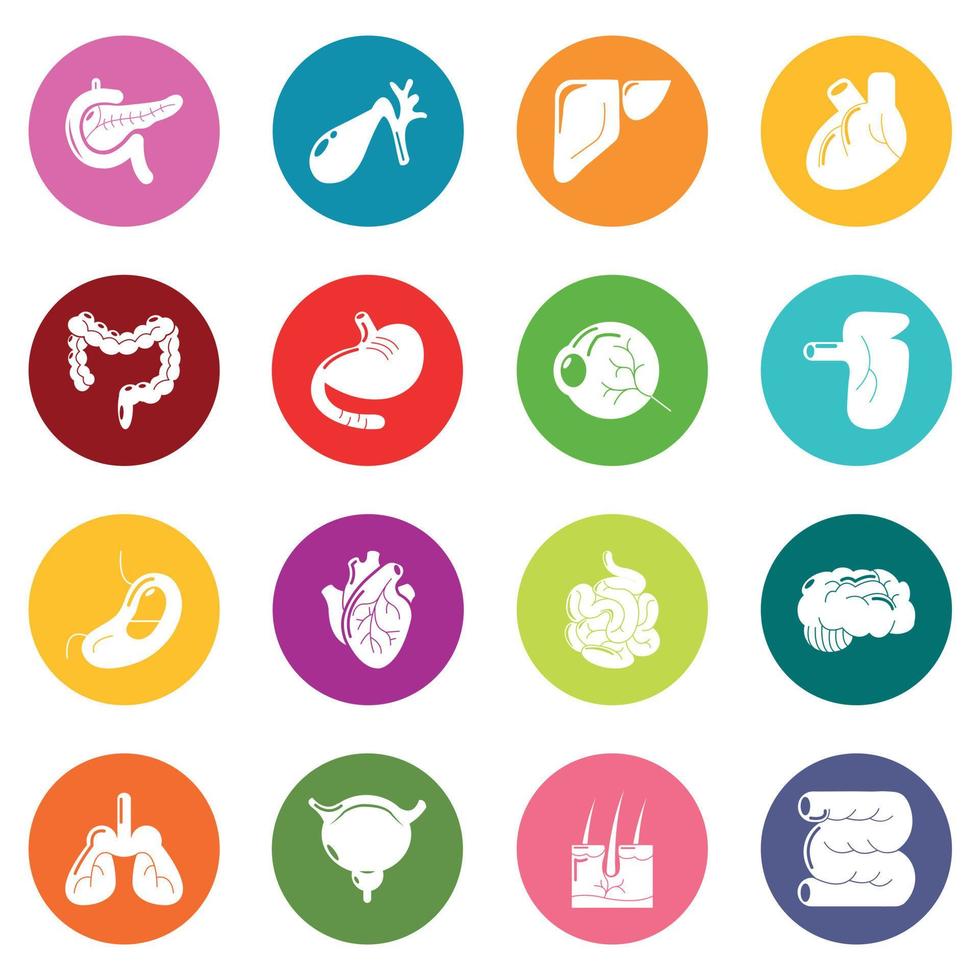 Internal human organs icons set colorful circles vector