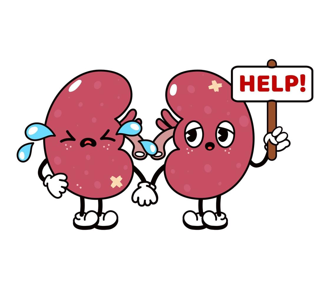 Cute funny crying sad kidneys character. Vector hand drawn traditional cartoon vintage, retro, kawaii character illustration icon. Isolated on white background. Cry kidneys character concept