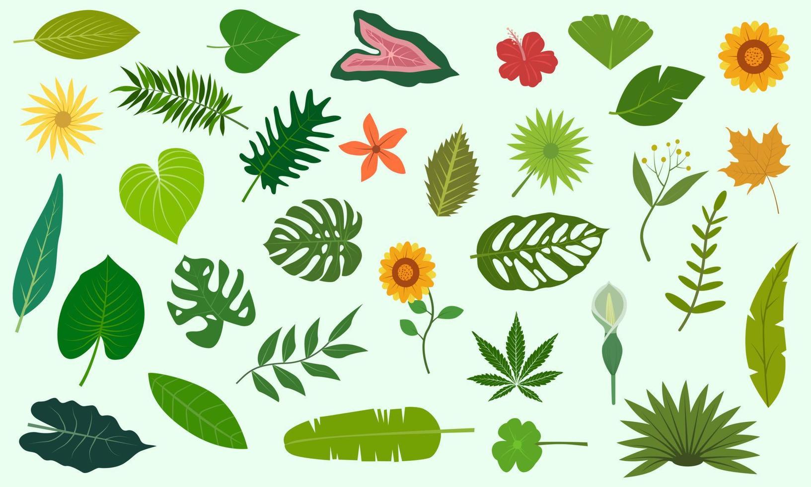 conjunto vectorial de hojas tropicales. vector