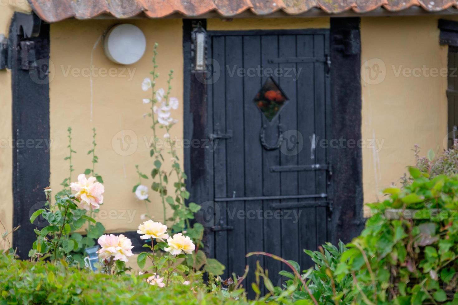 Svaneke on Bornholm island photo