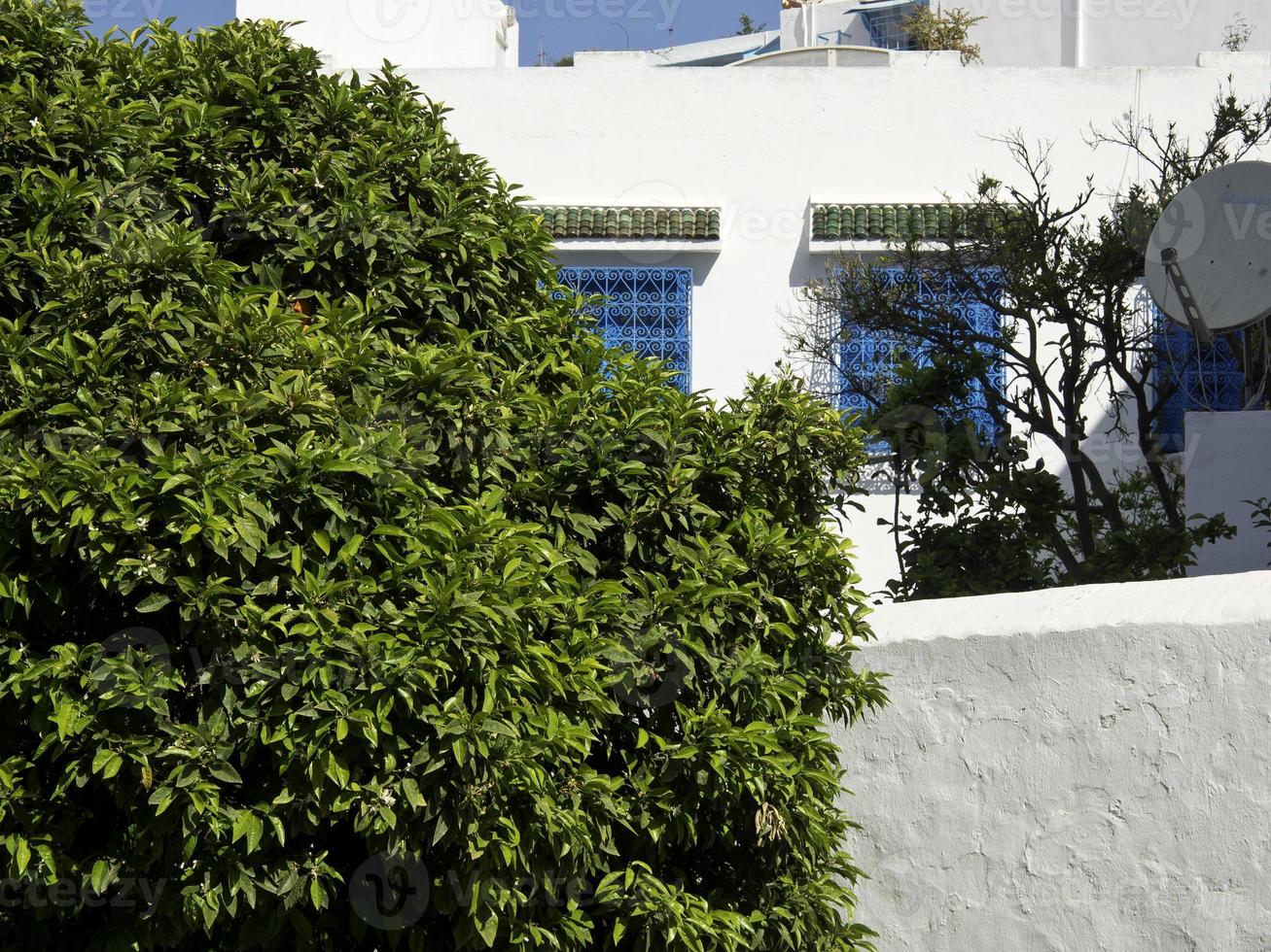 the city of tunis in tunisia photo