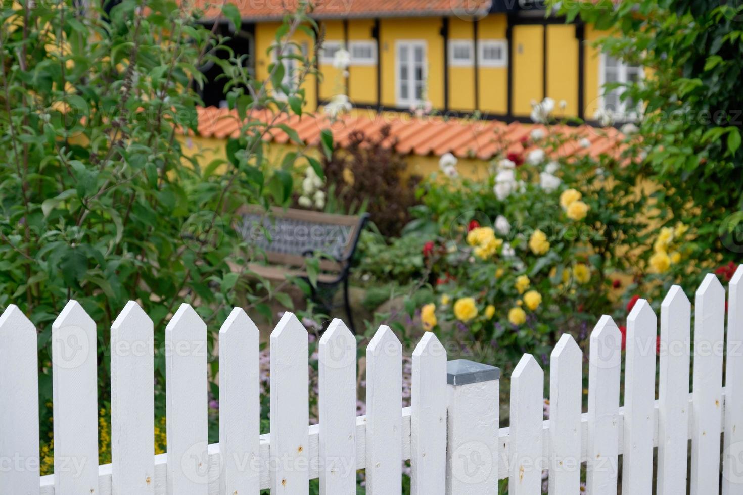 svaneke on Bornholm island photo