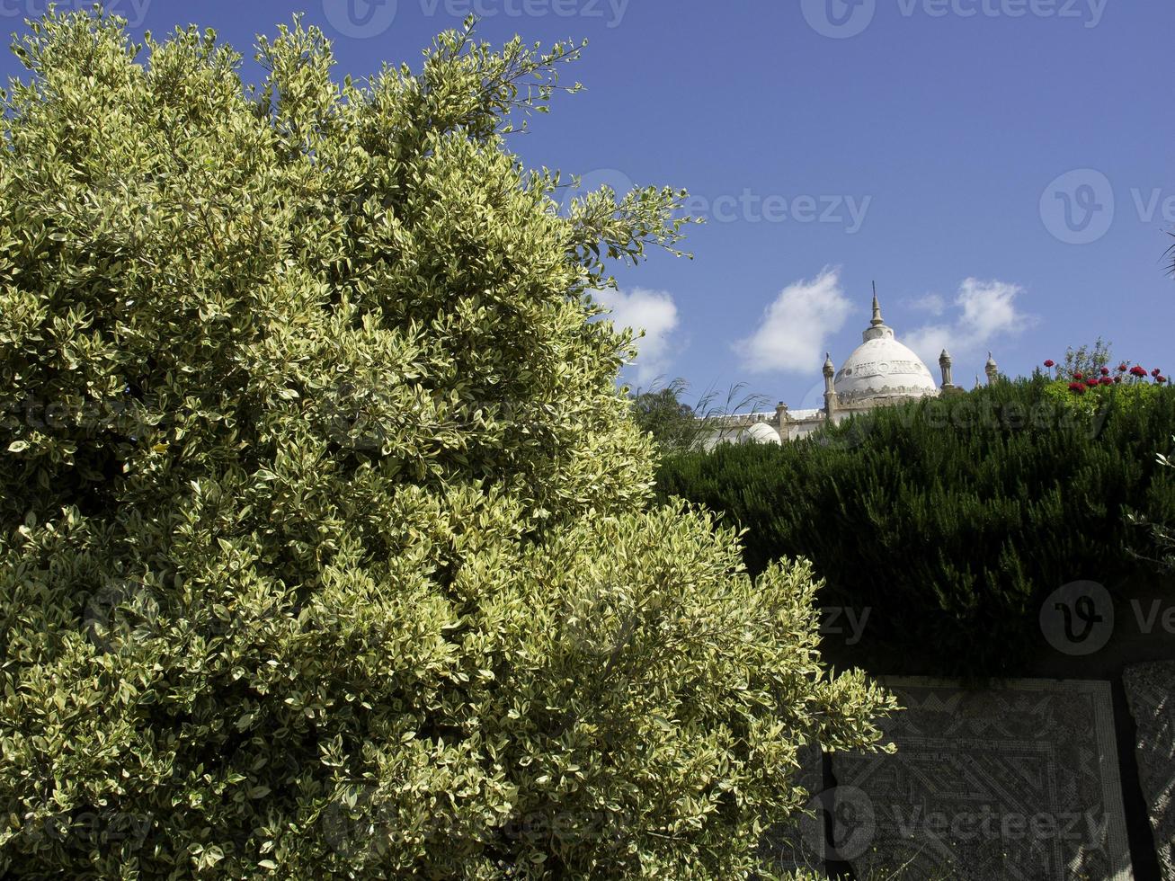 the city of tunis in tunisia photo