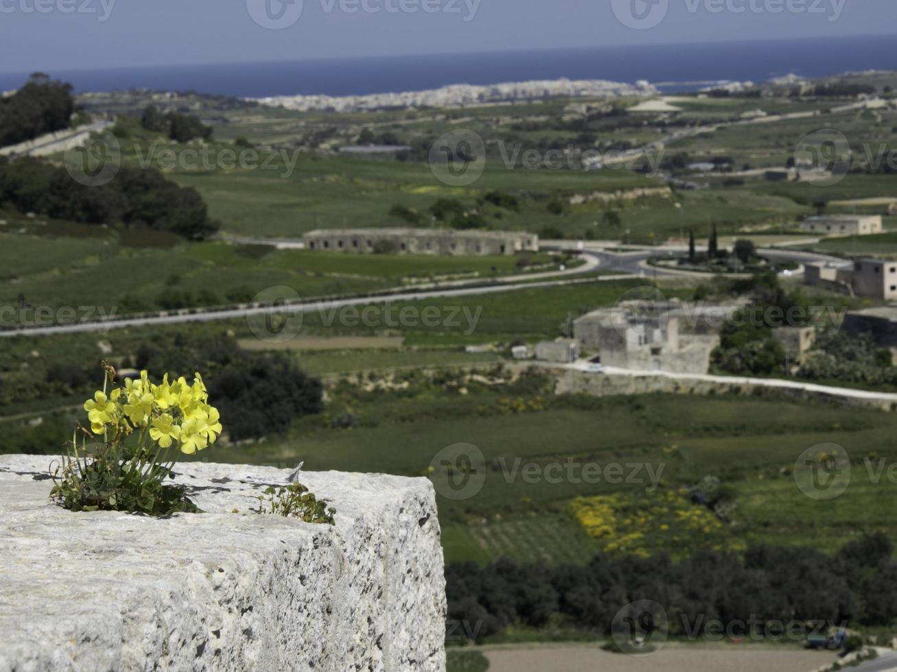 mdina city on malta photo