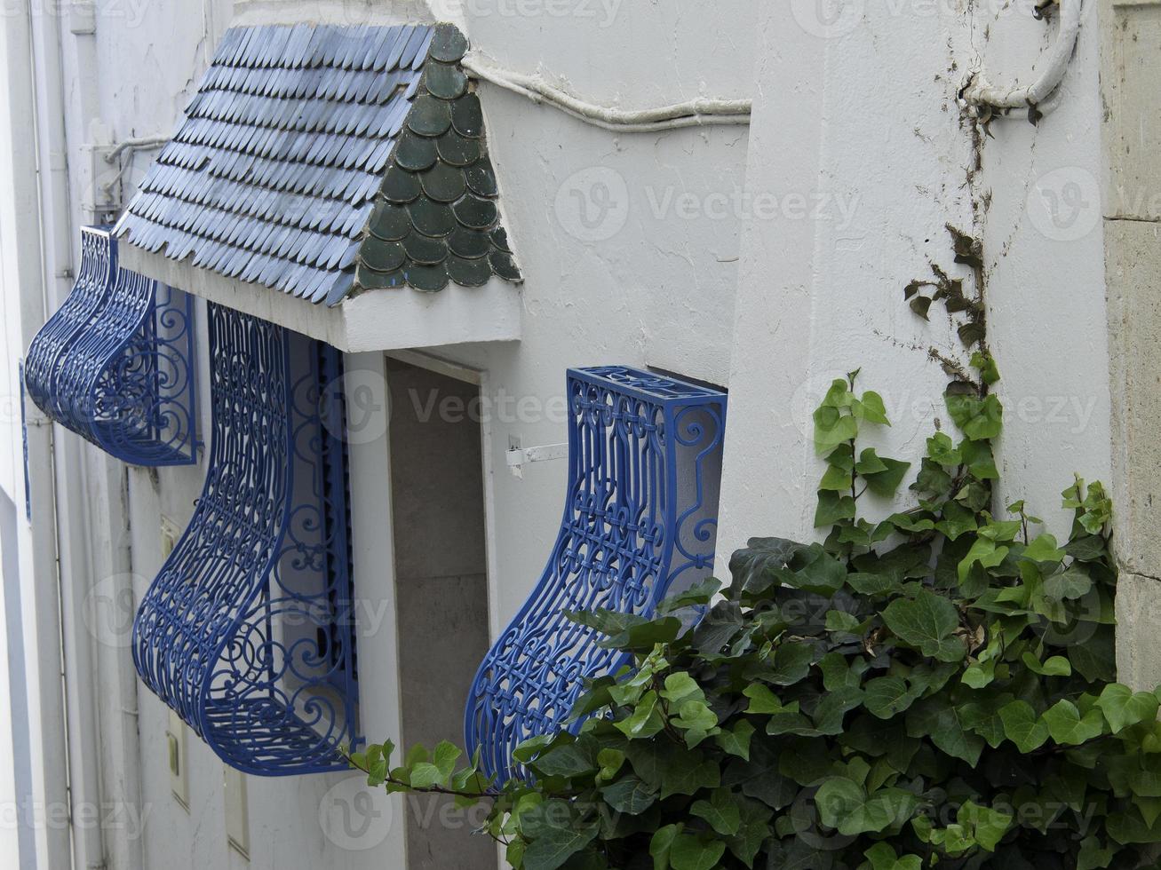 the city of tunis in tunisia photo