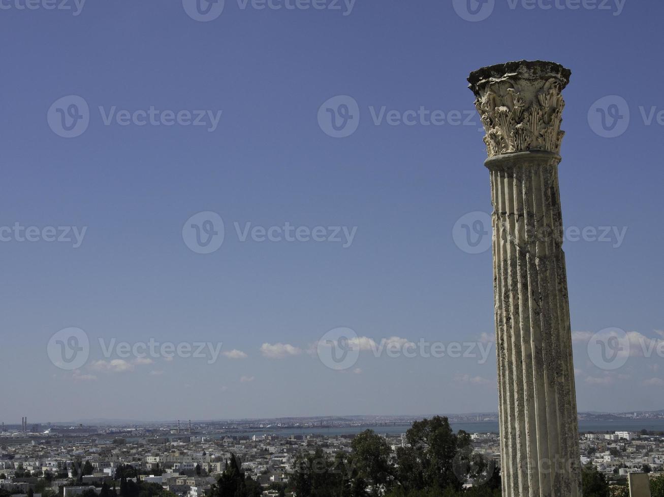 the city of tunis in tunisia photo