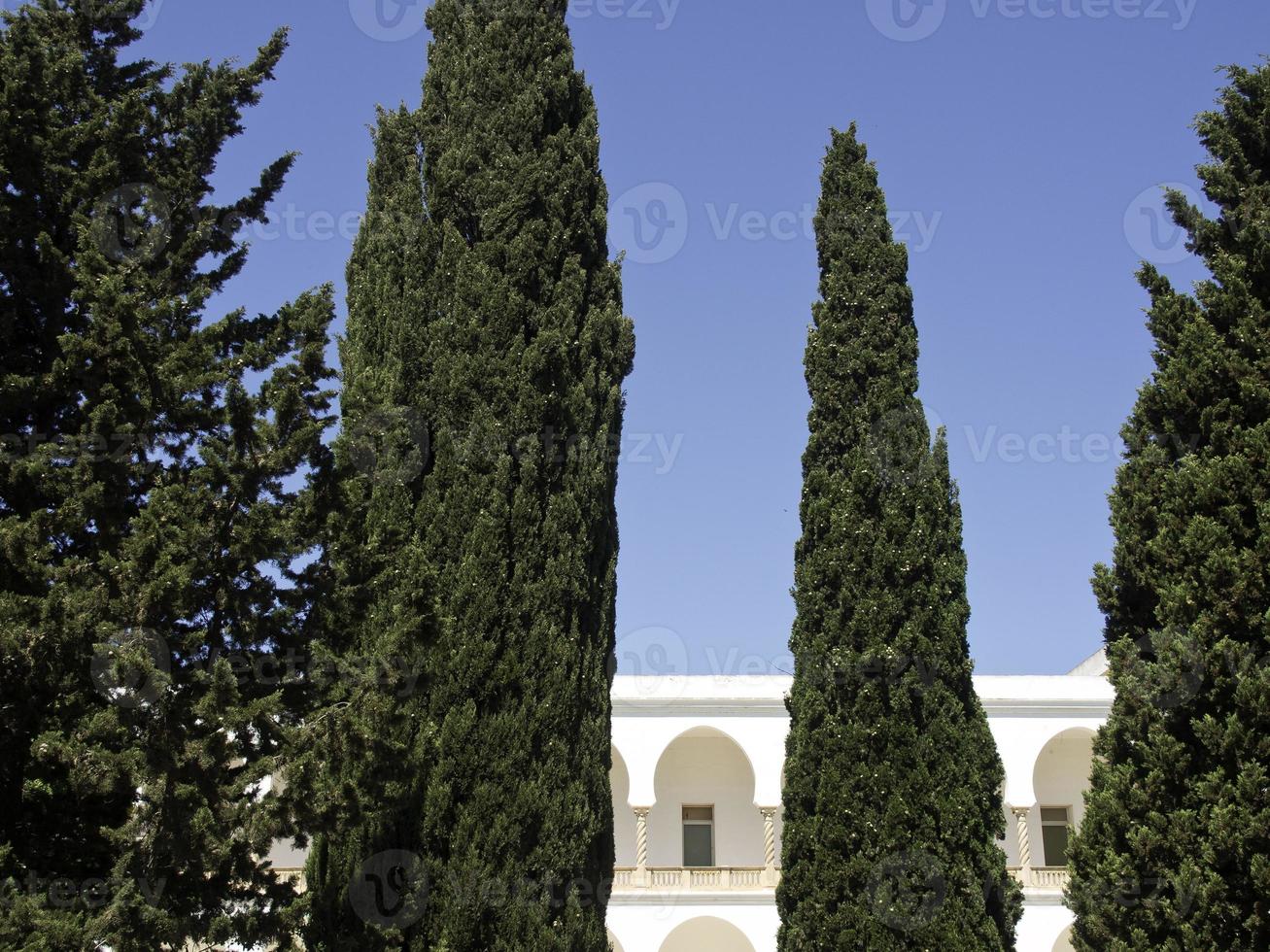 the city of tunis in tunisia photo