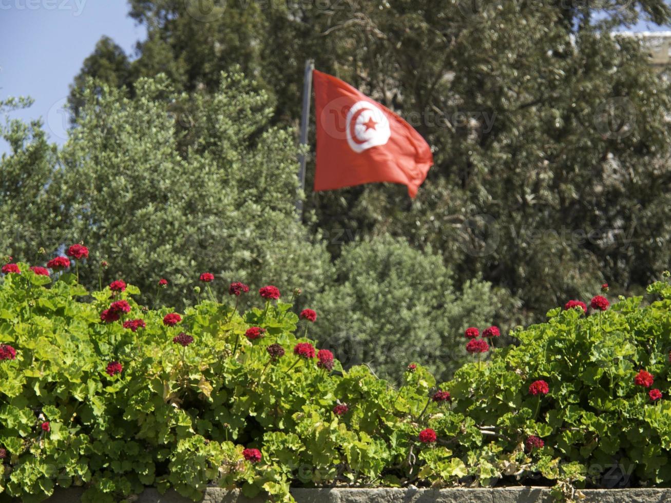 the city of tunis in tunisia photo