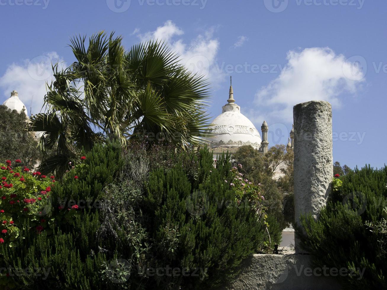 the city of tunis in tunisia photo