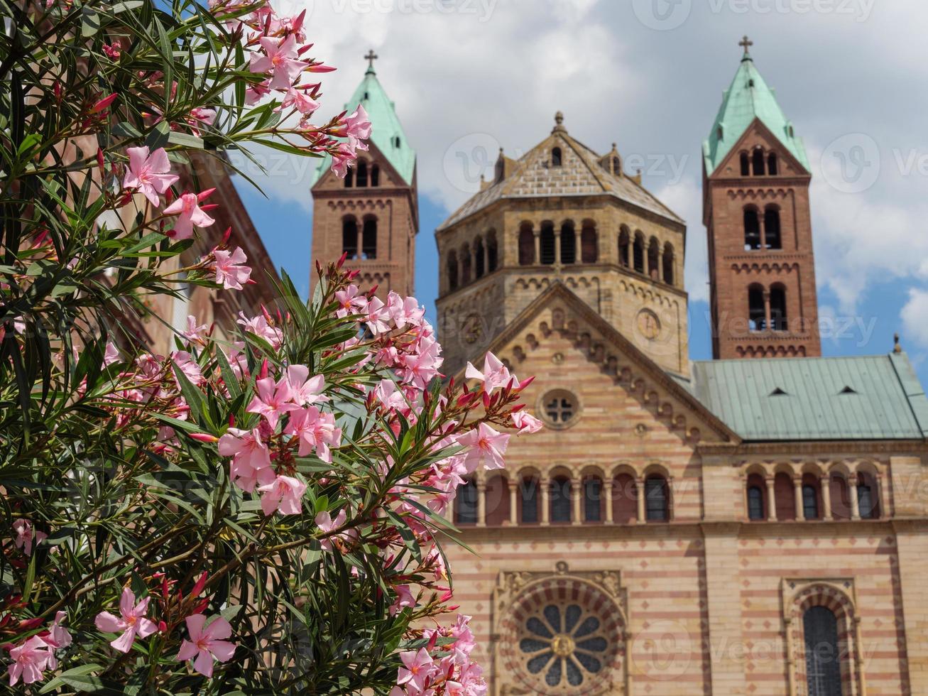 the old city of Speyer in germany photo