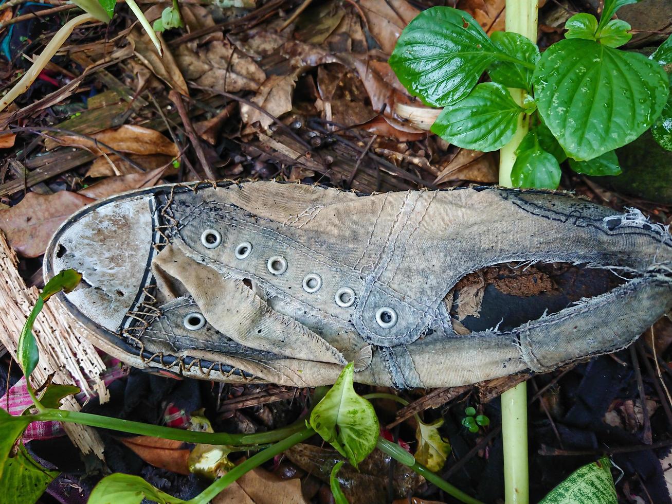 broken shoes pictures photo