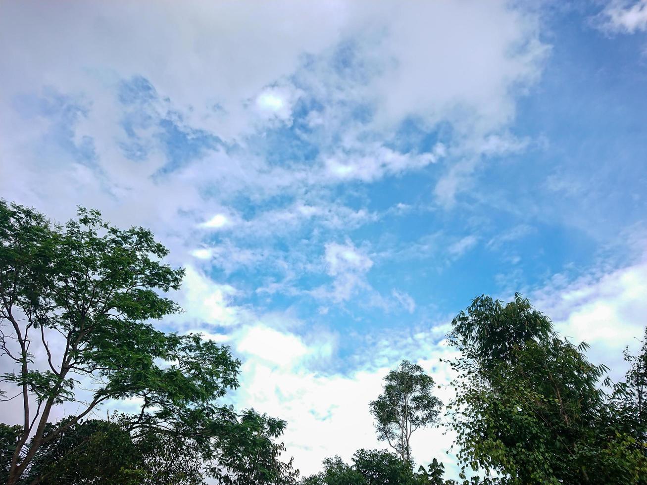 Pictures of the atmosphere of the sky and clouds photo