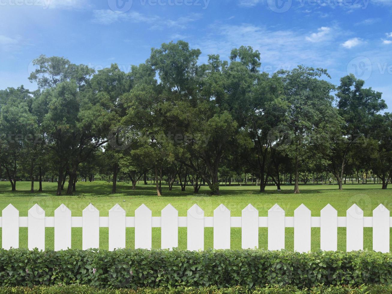 White fences on green grass and the trees behind with blue sky photo