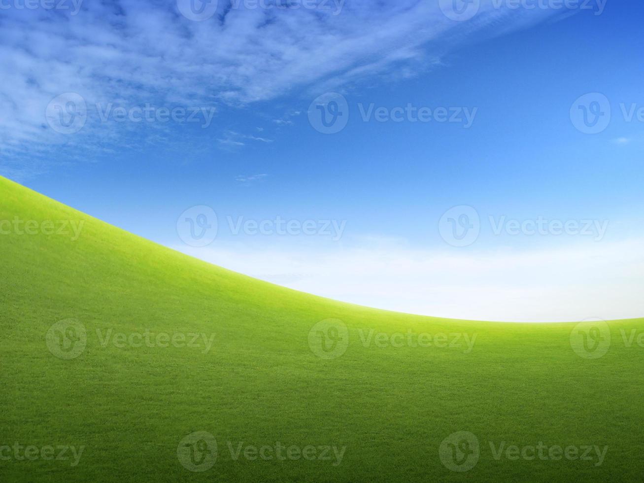 green green grass field and bright blue sky photo