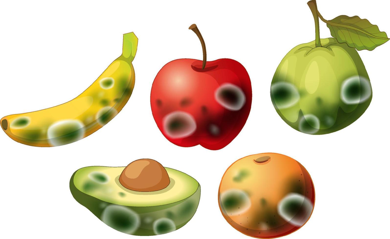 Set of inedible fruit with mould vector