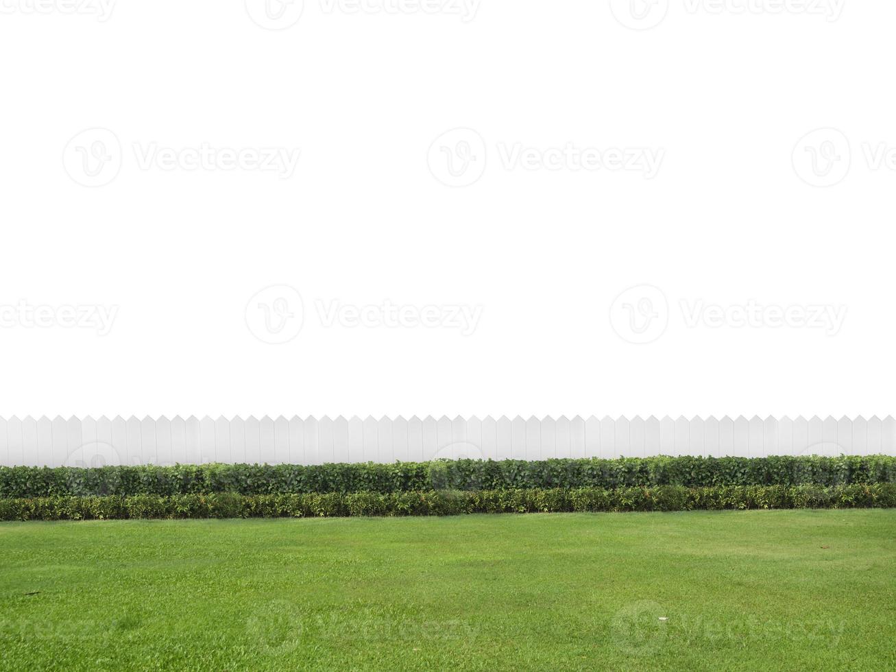 Empty backyard isolated on white background with copy space photo