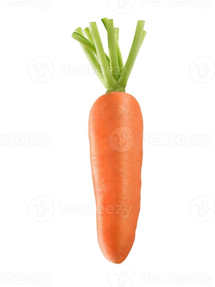 Carrot isolated on a withe background photo