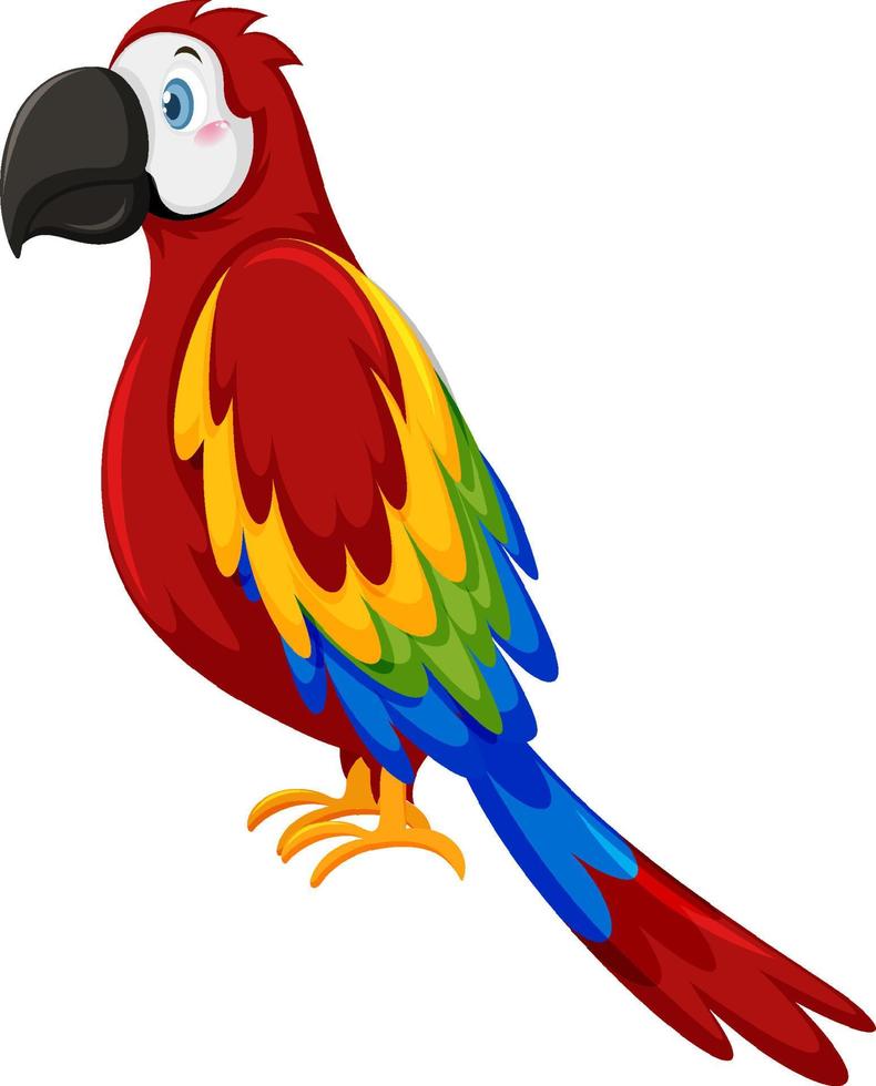 Parrot bird in cartoon style vector