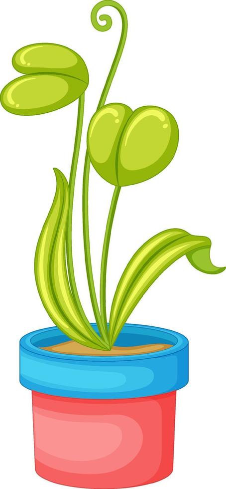 planta en una maceta en dibujos animados vector