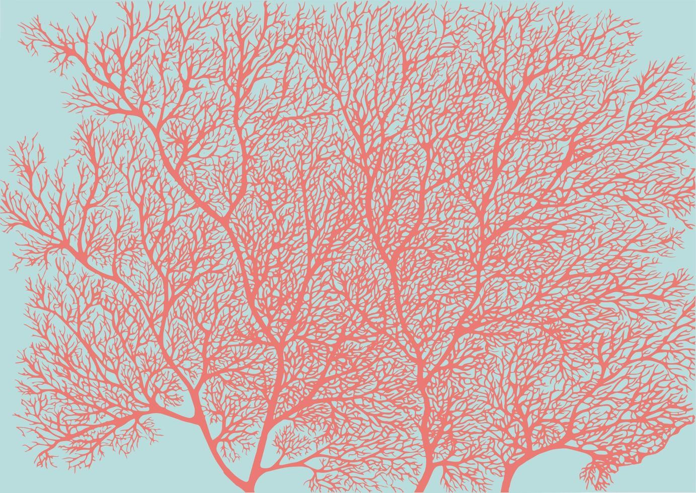Coral picture background vector