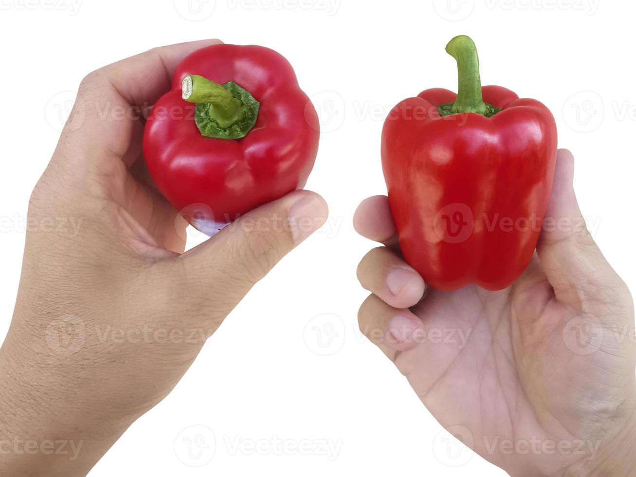 hand holding red Bell Pepper isolated on white background photo