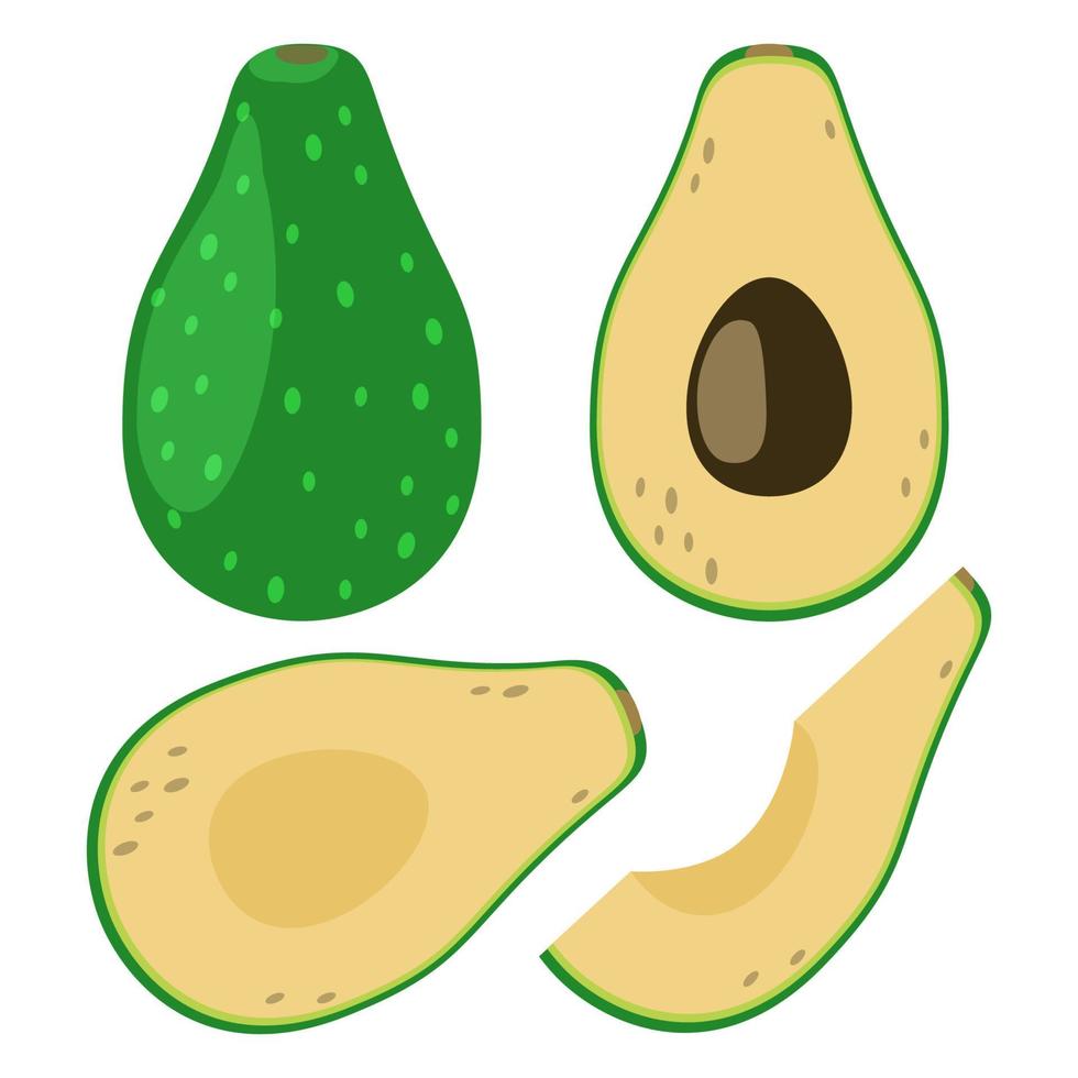 conjunto de aguacate - fruta entera, mitad y rebanada vector