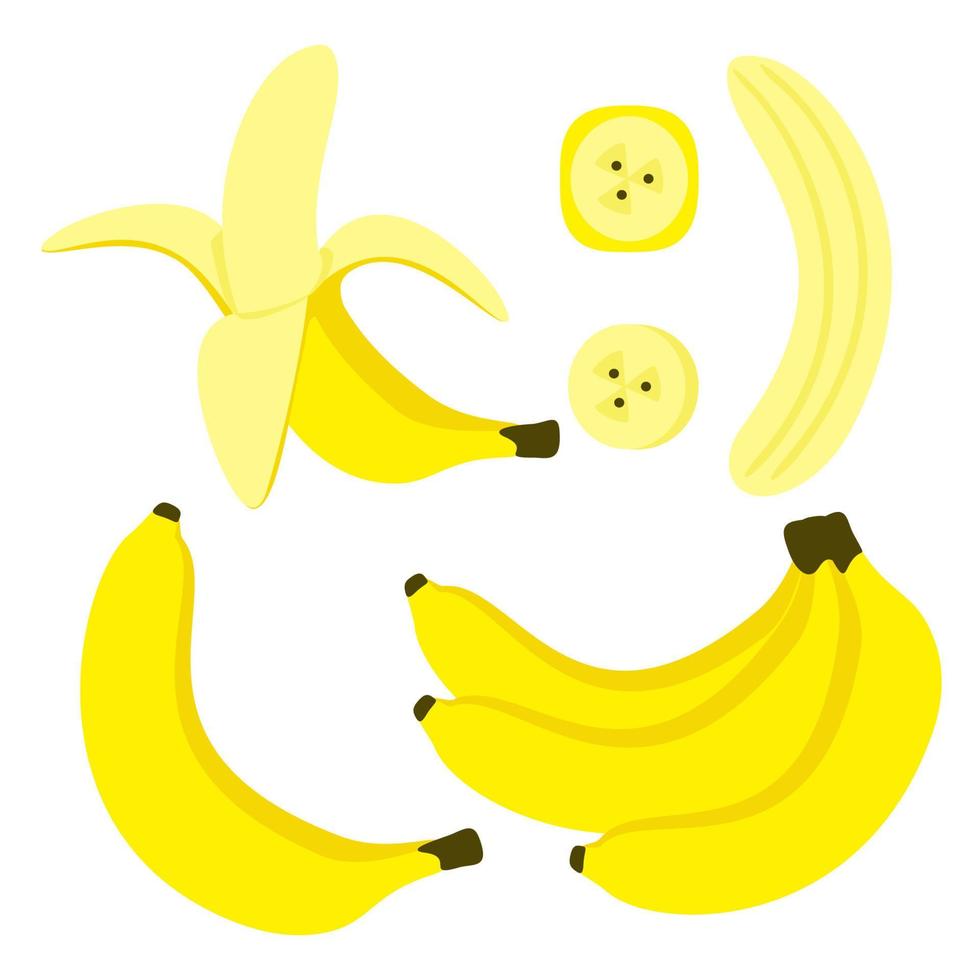 Banana Set, Tropical Fruit vector