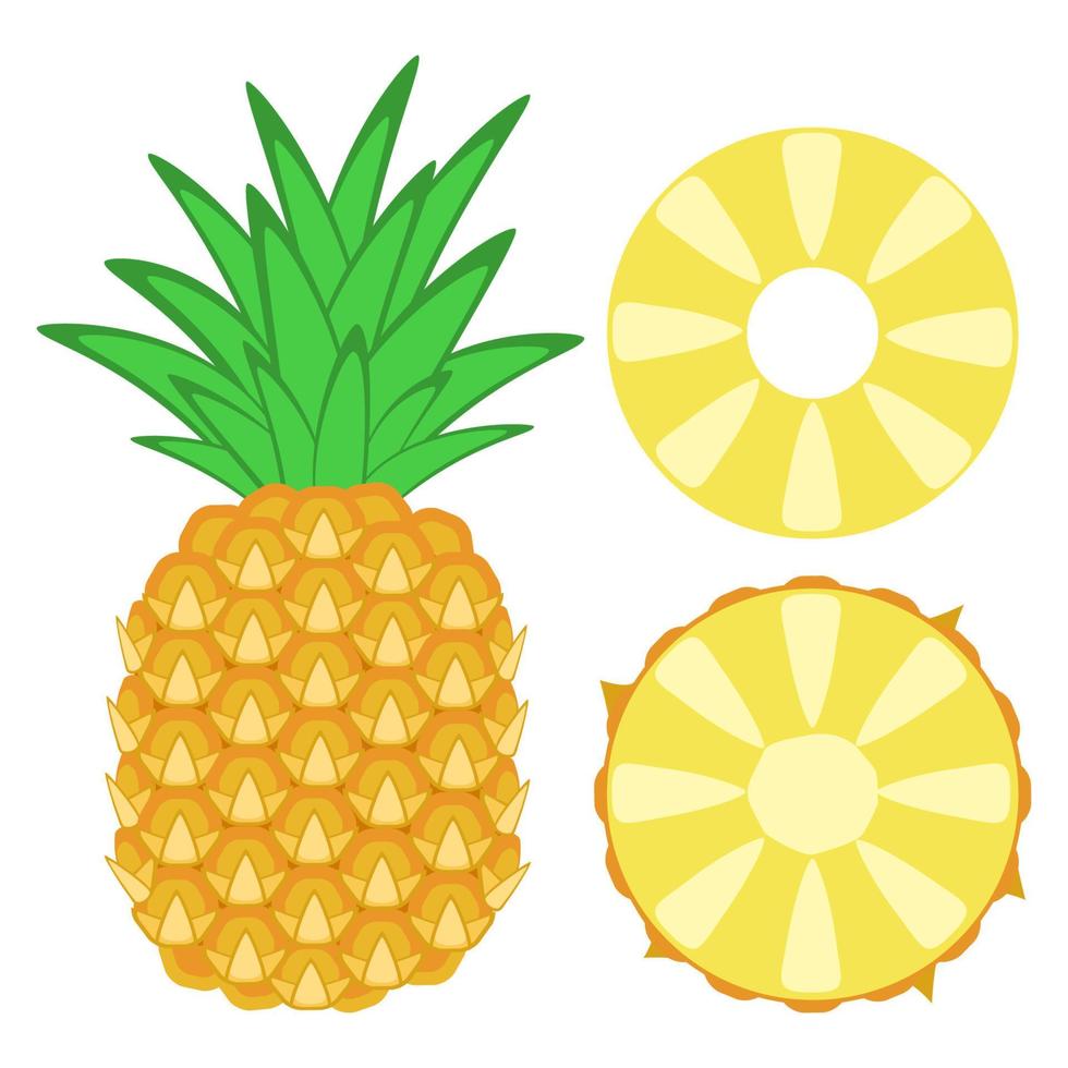 Pineapple Set - Whole and Ring Tropical Fruit vector