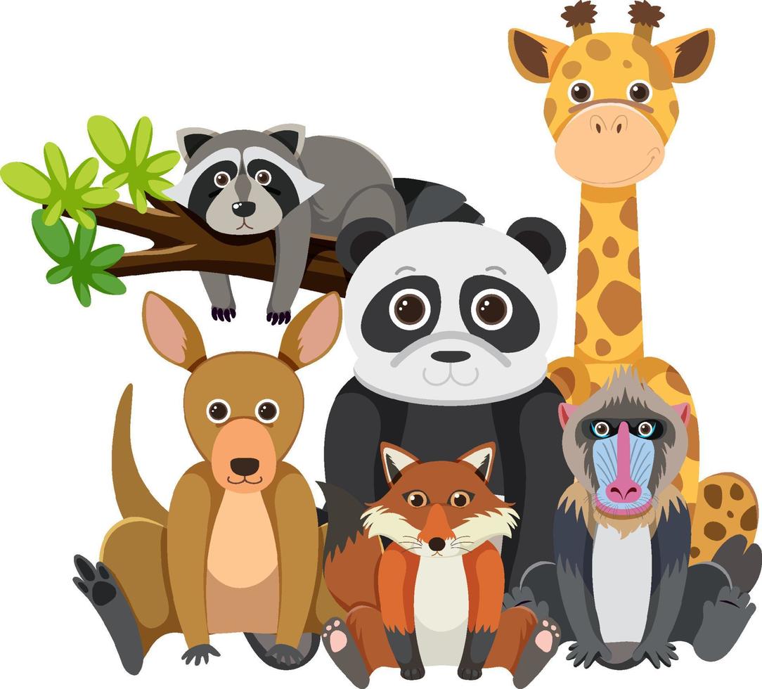 Wild animal group on white background vector