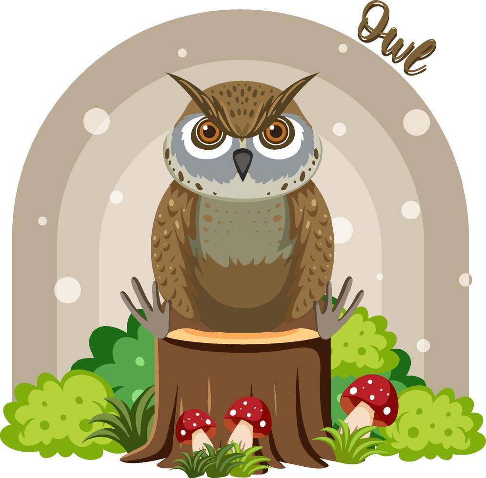 Cute owl bird in cartoon flat style vector