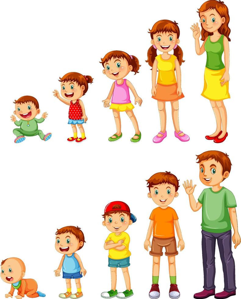 niños en diferentes etapas vector