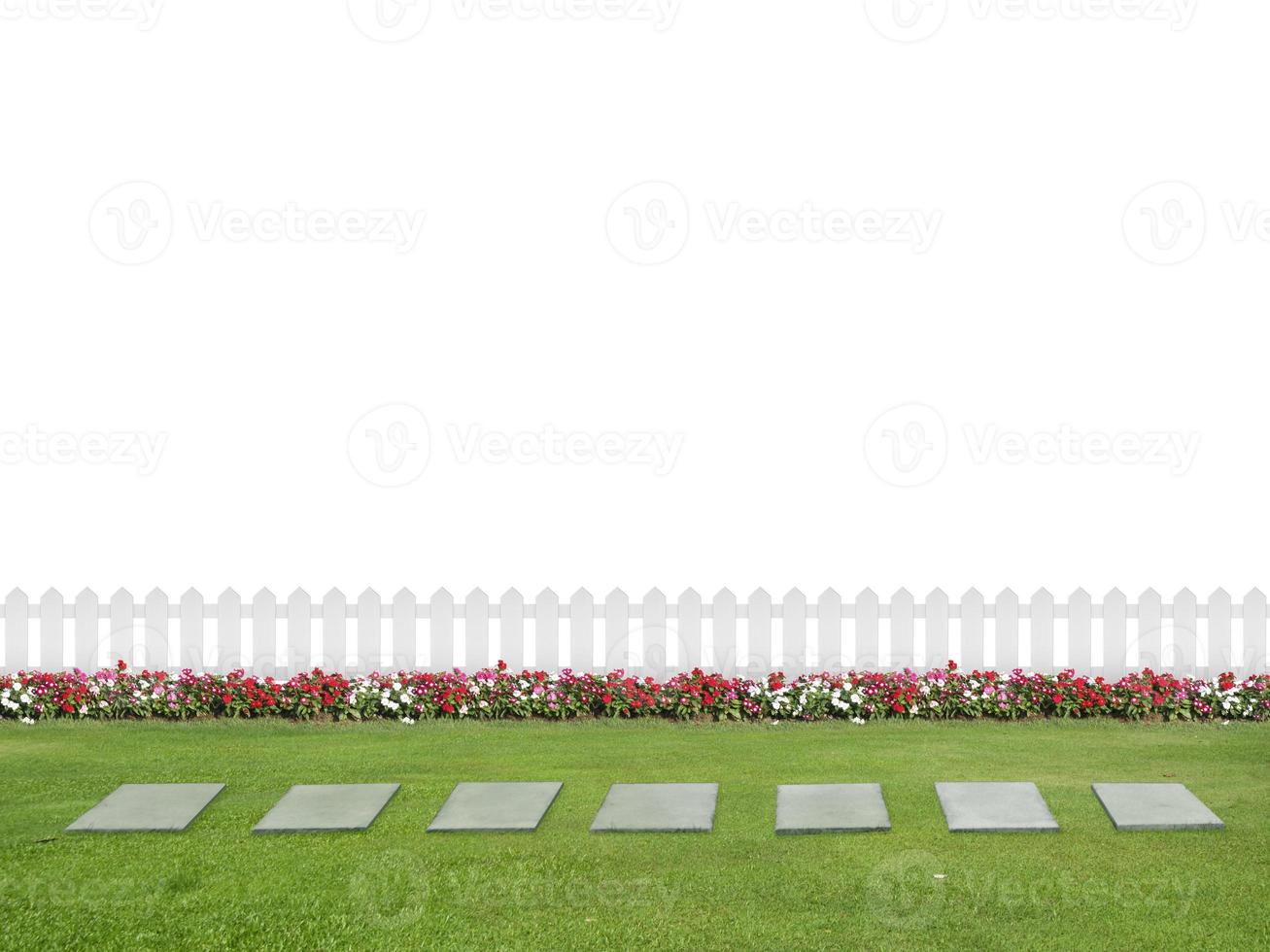 Empty backyard isolated on white background with copy space photo
