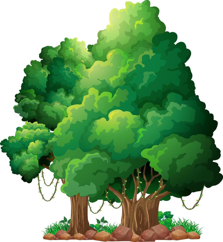 dibujos animados aislados de árbol grande vector