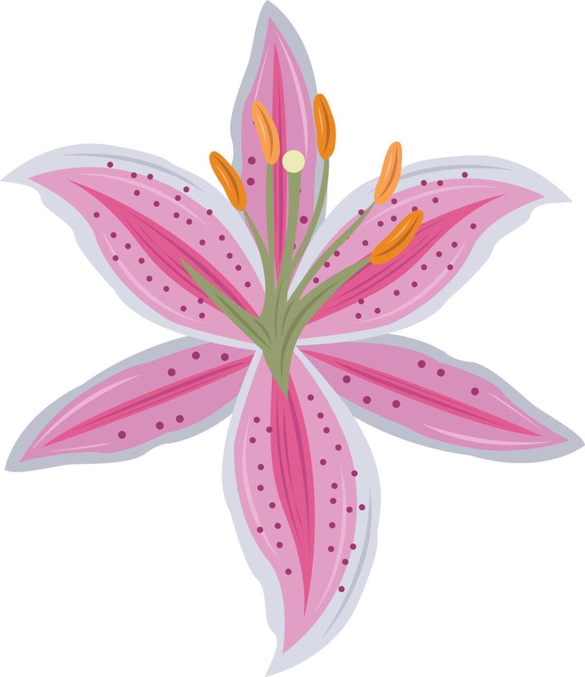 Pink lily flower vector art for graphic design and decorative element