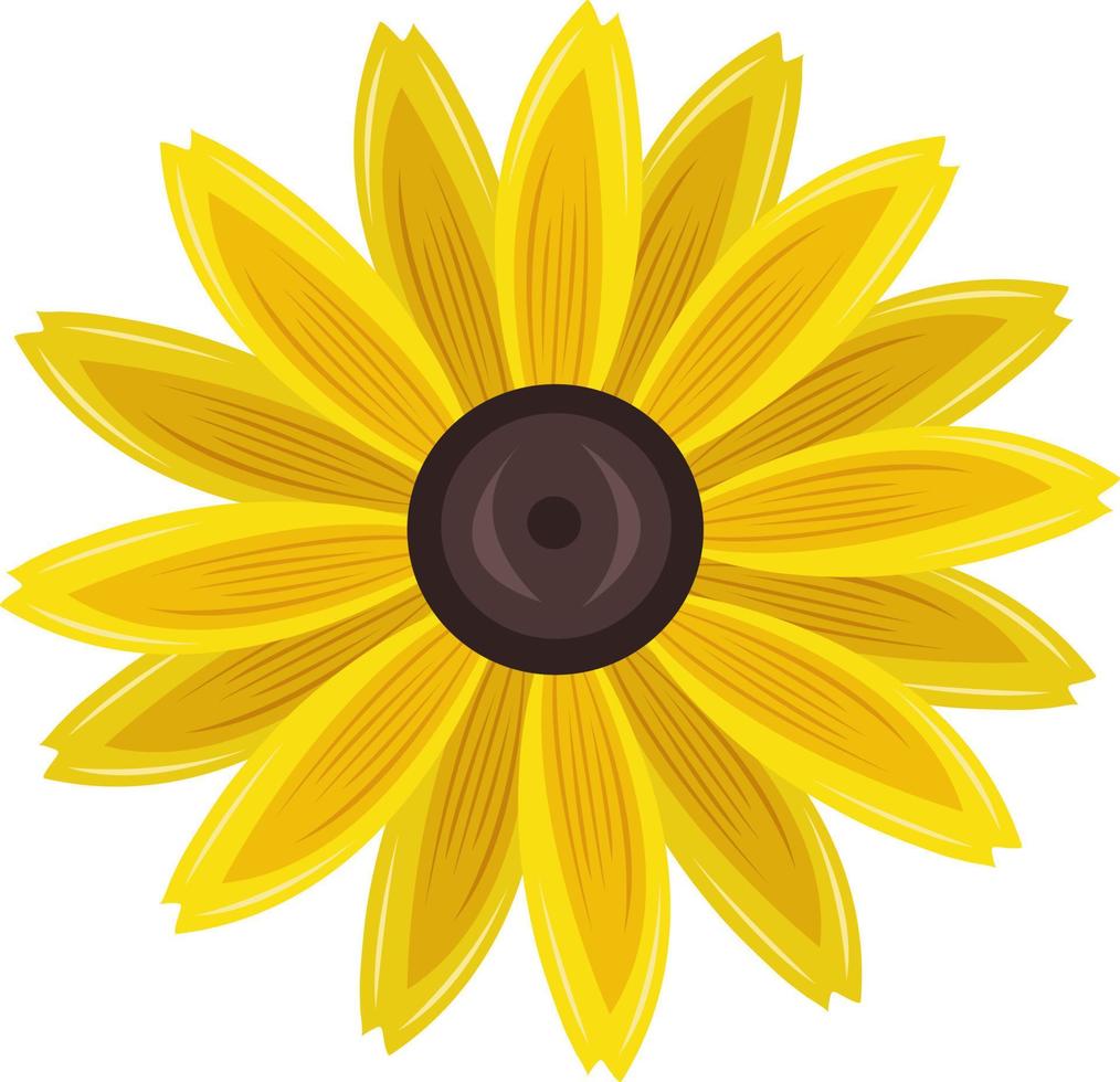 Black eyed susan flower vector art for graphic design and decorative