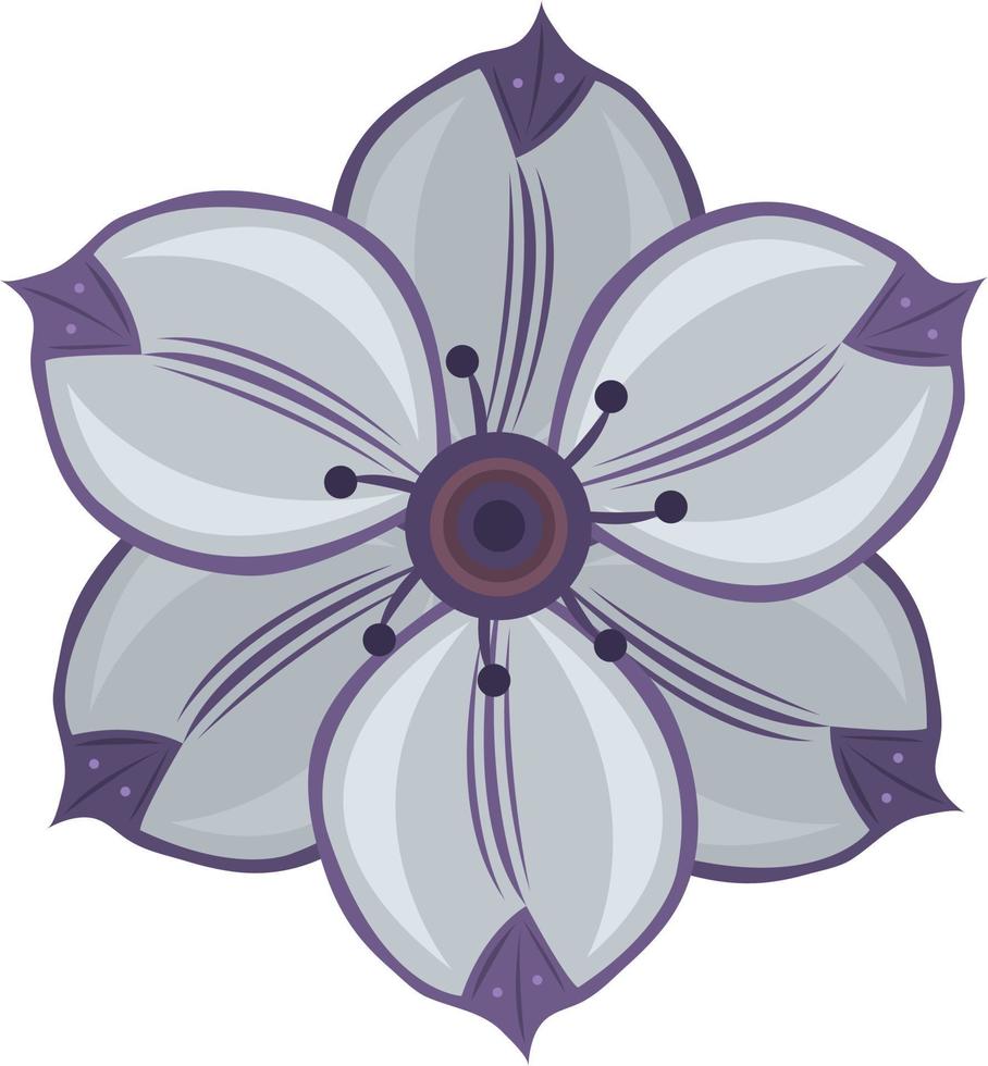 Purple clematis flower vector art for graphic design and decorative element