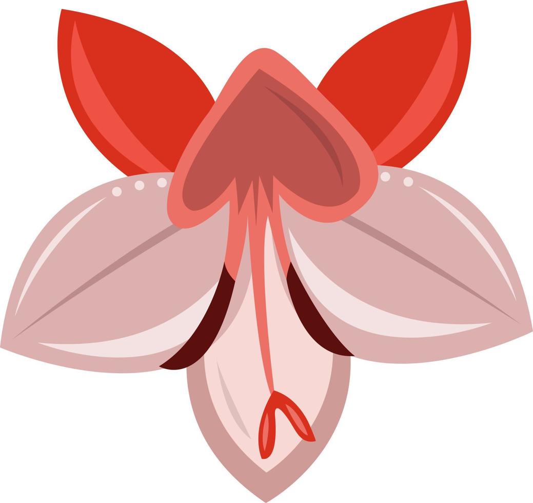 Table mountain watsonia flower vector art for graphic design and decorative element