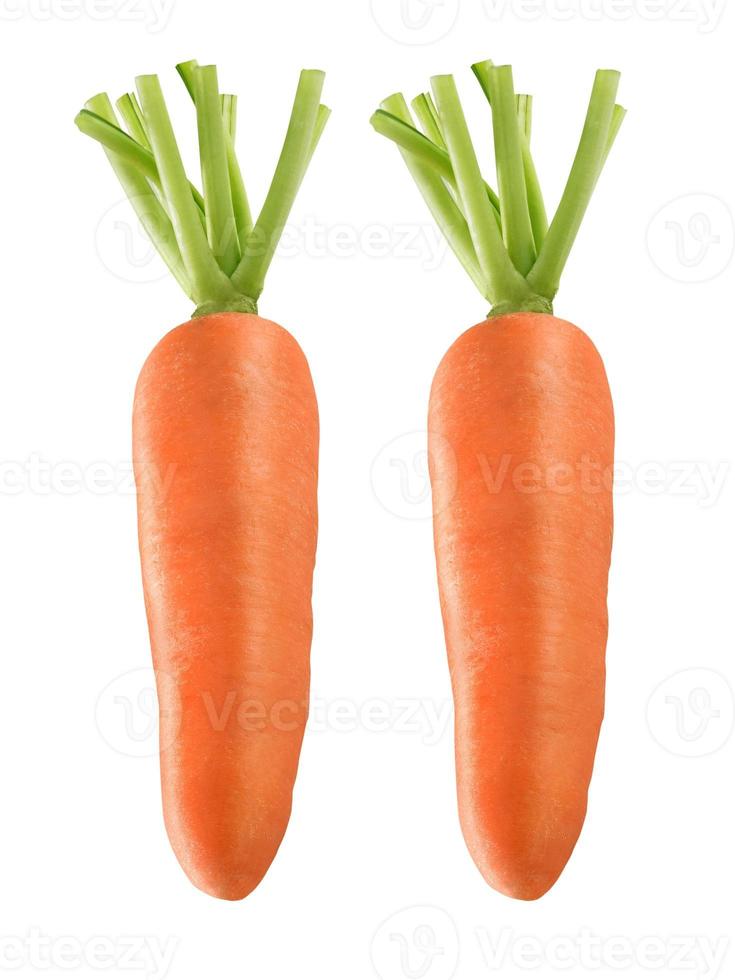 Carrot isolated on a withe background photo