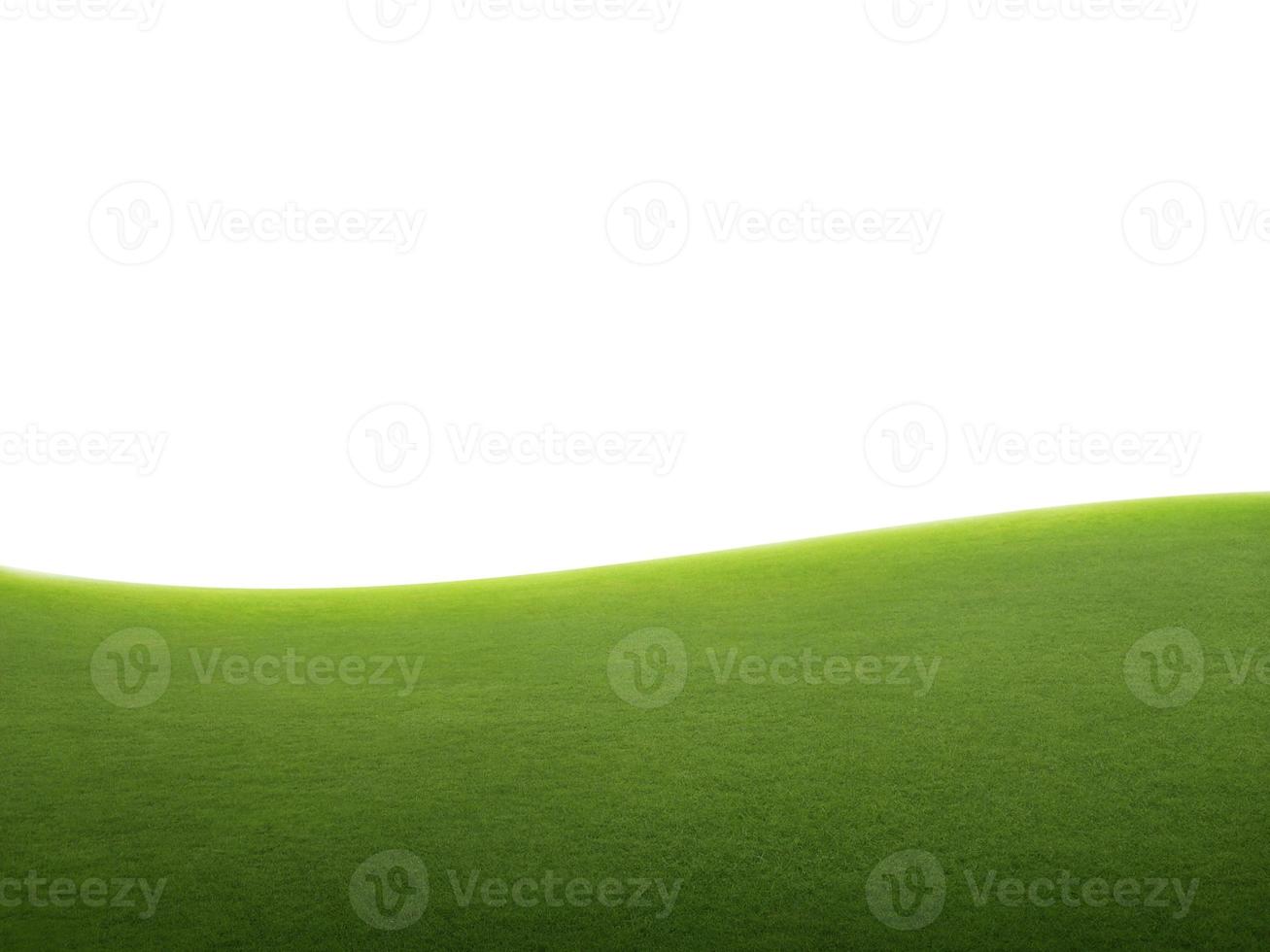 green grass field isolated on white background photo