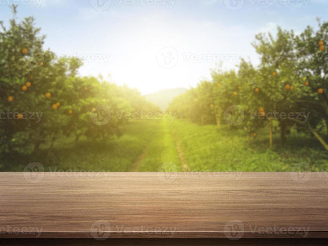 wooden table place of free space for your decoration and orange trees with fruits in sun light photo