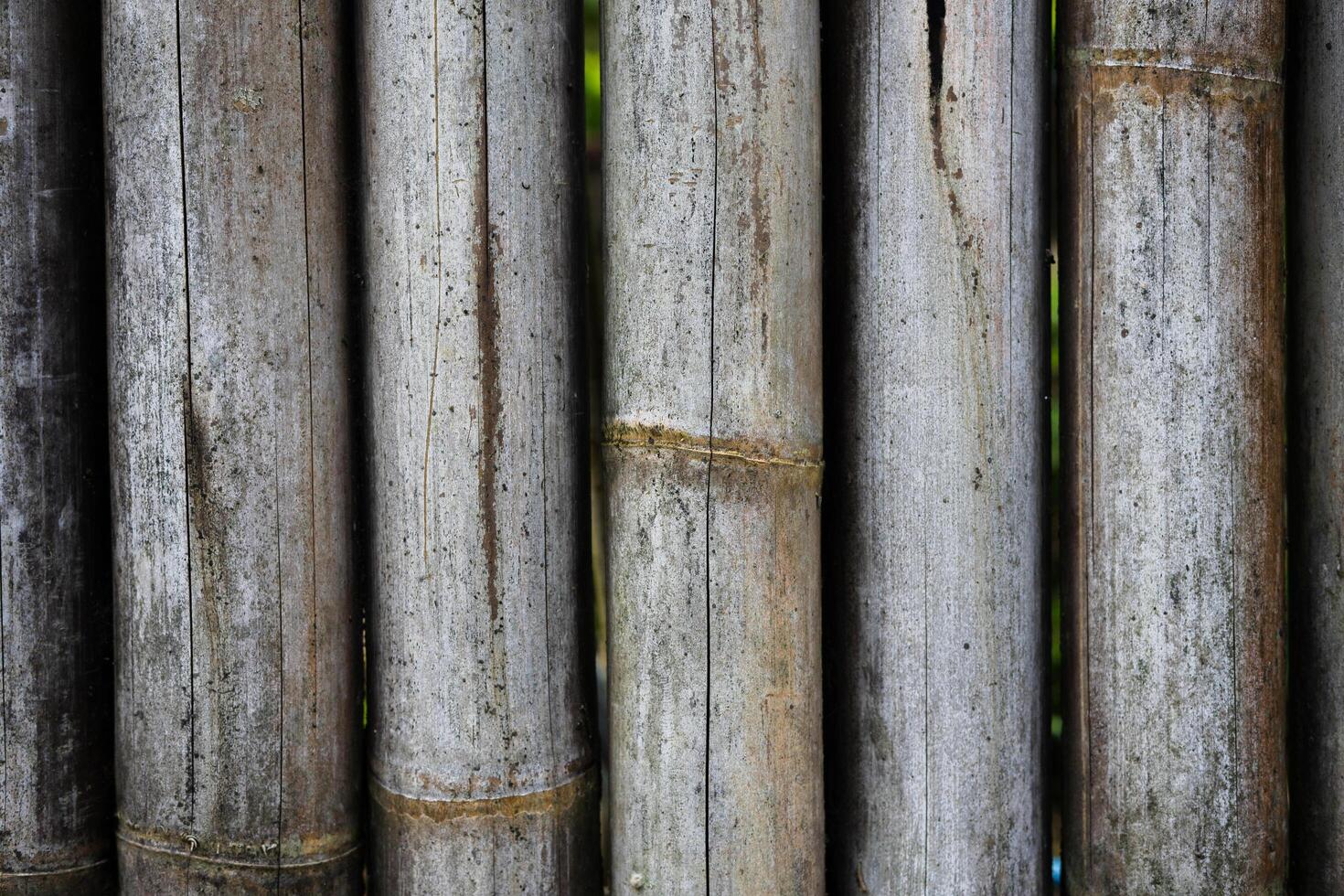 The surface of the bamboo board wall for the background. Old dried bamboo with a detailed texture. photo